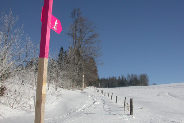 Parcours raquette