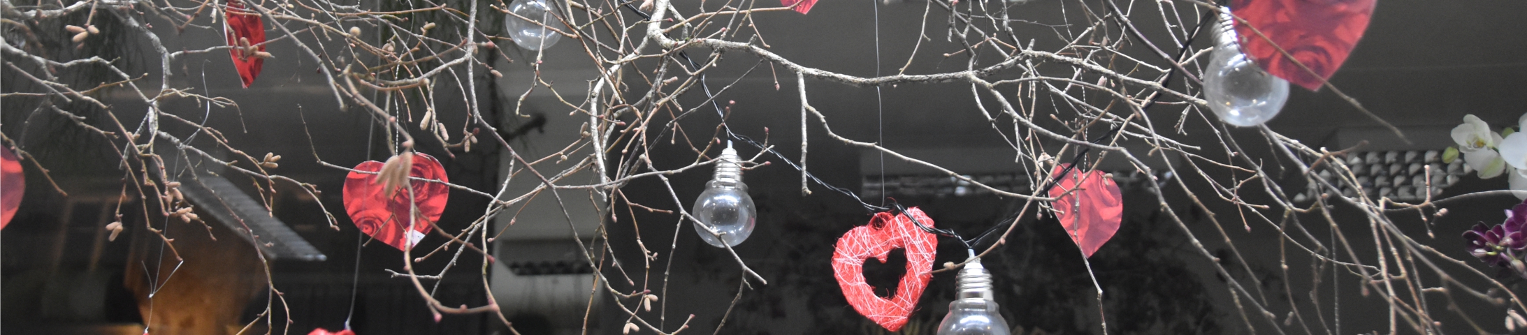 Les vitrines gagnantes de la St-Valentin 2021