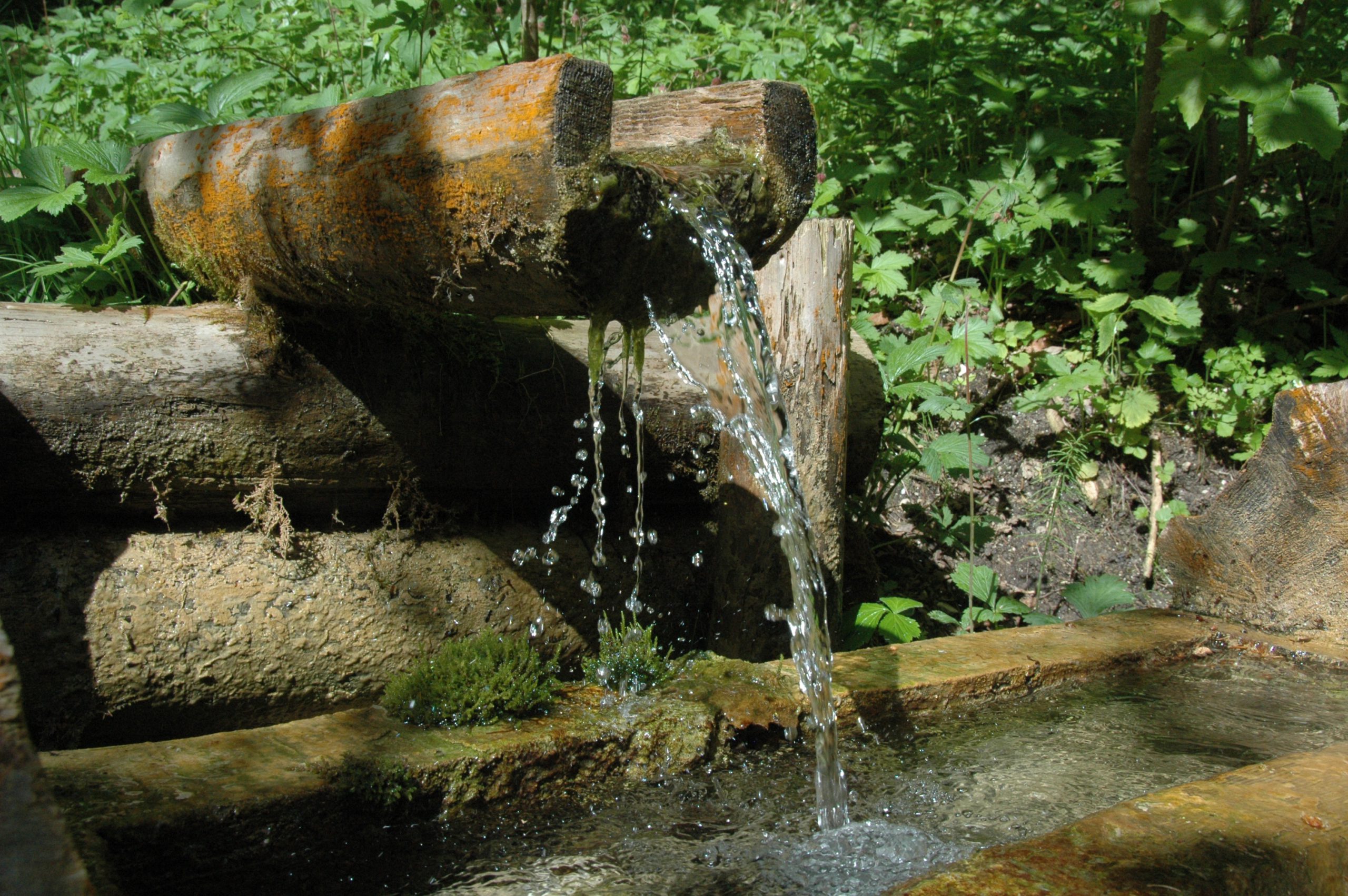 A la découverte du Sentier Nature