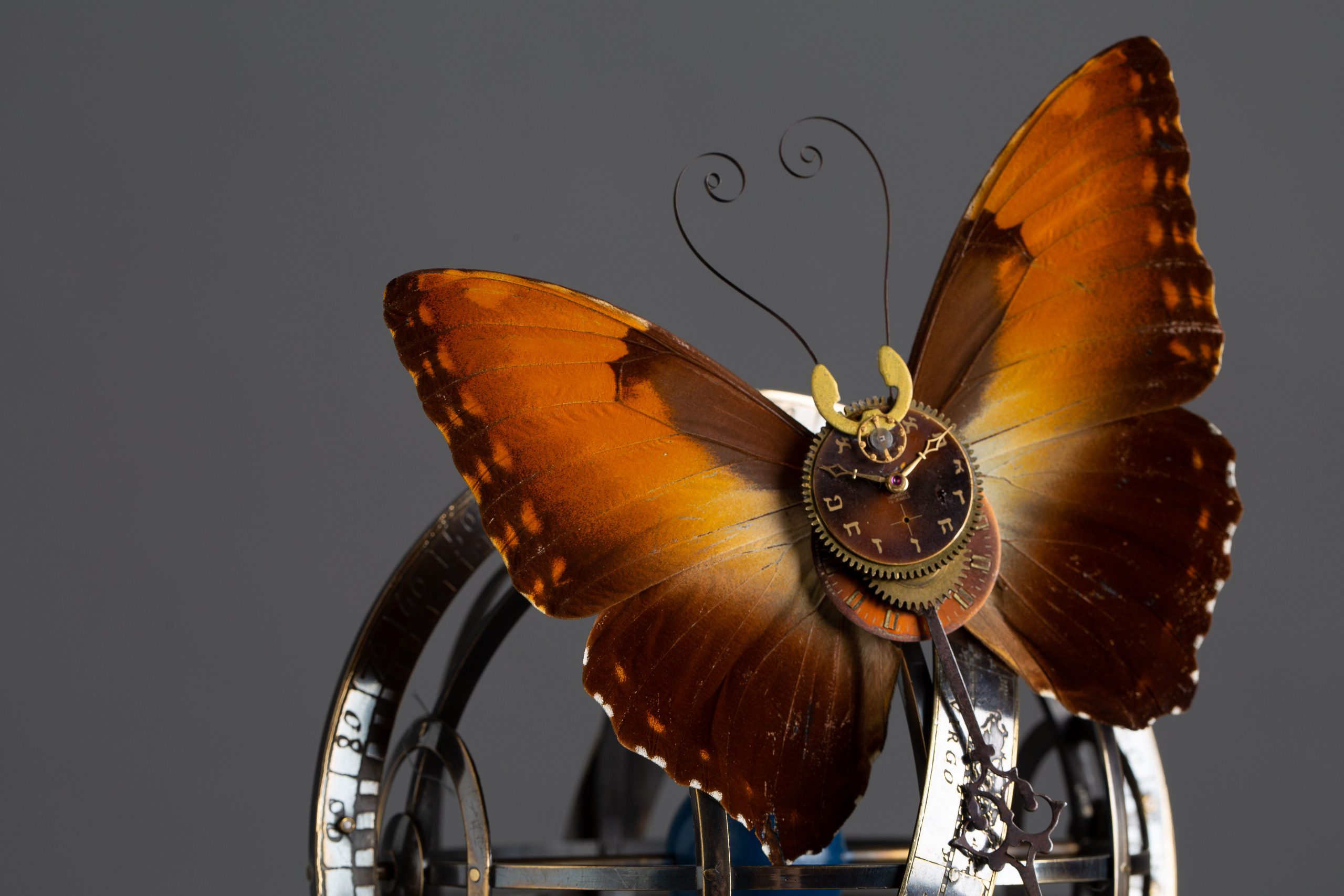 Atelier : Construit ton insecte mécanique - Site officiel de la ville ...