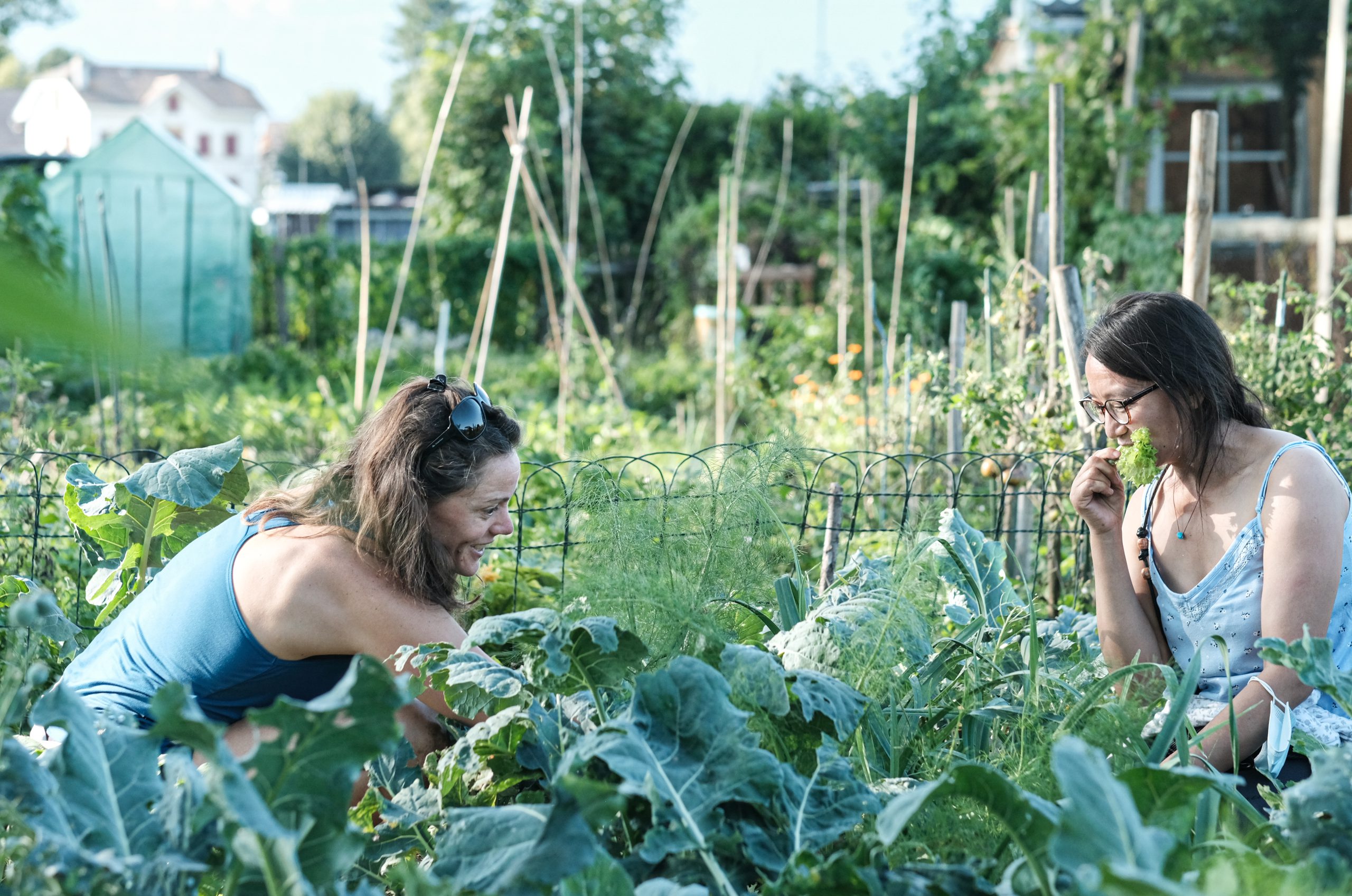 « Ouvre ton jardin »