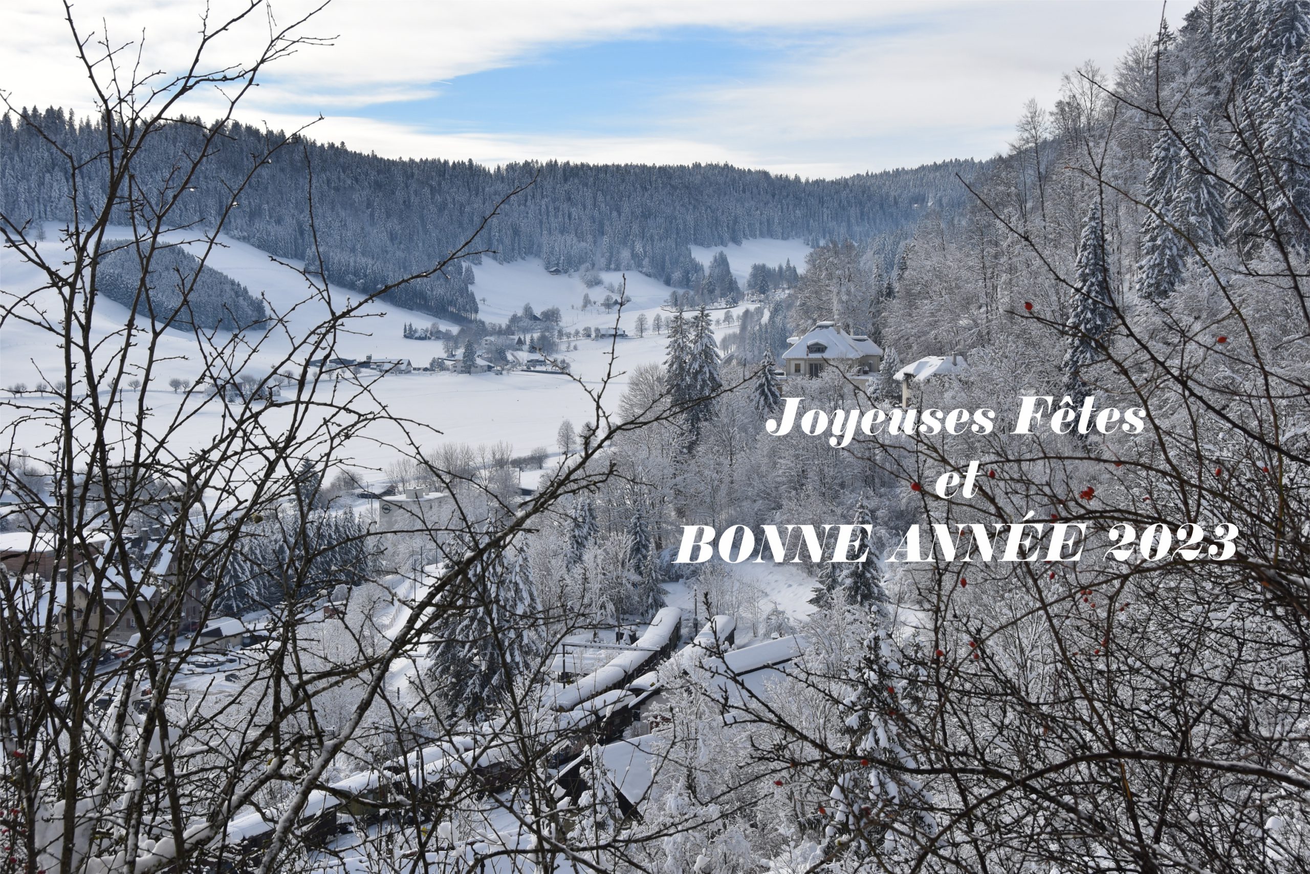 Joyeuses Fêtes et Bonne Année 2023