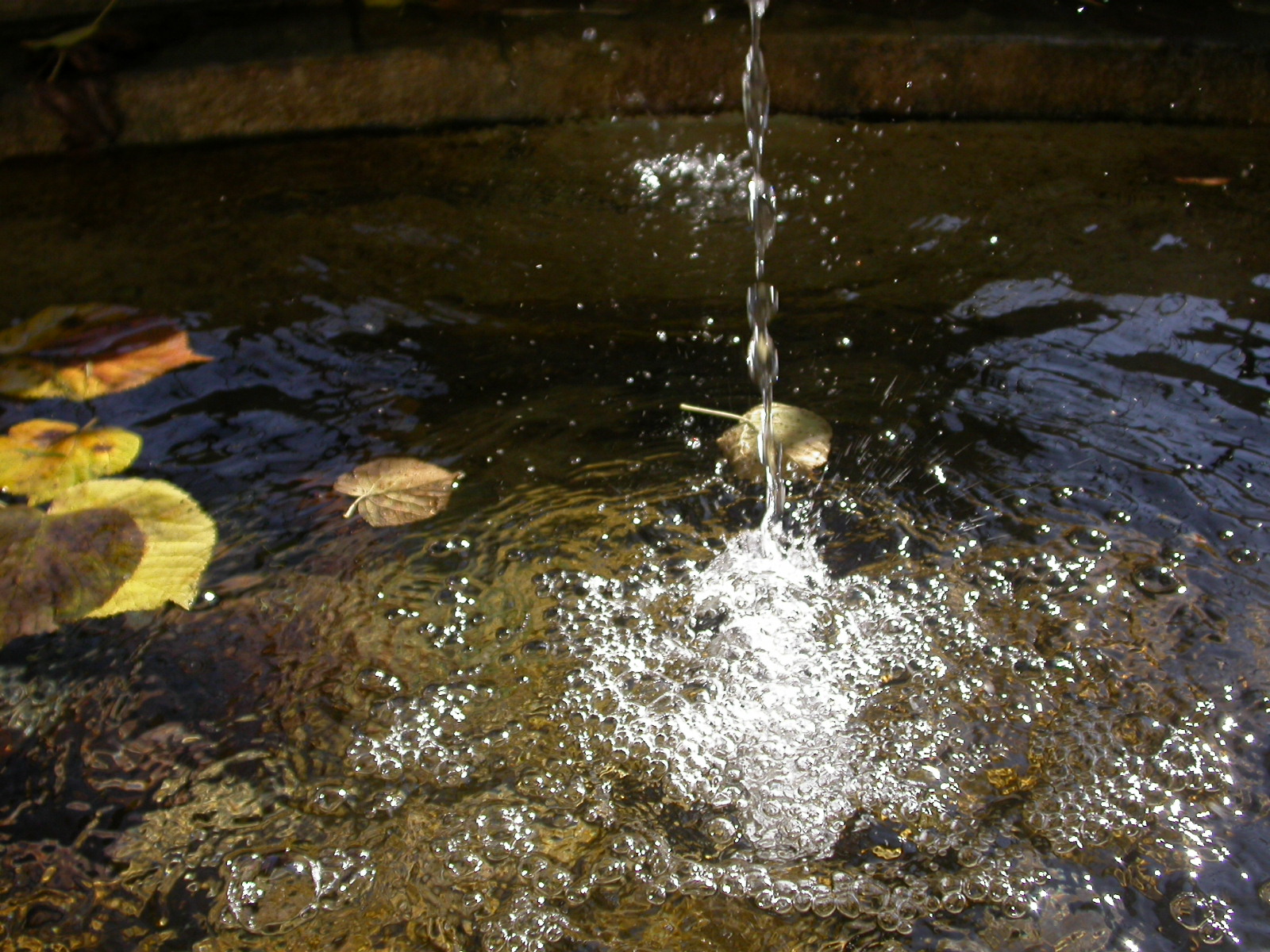 L’eau des réseaux du Locle est d’excellente qualité