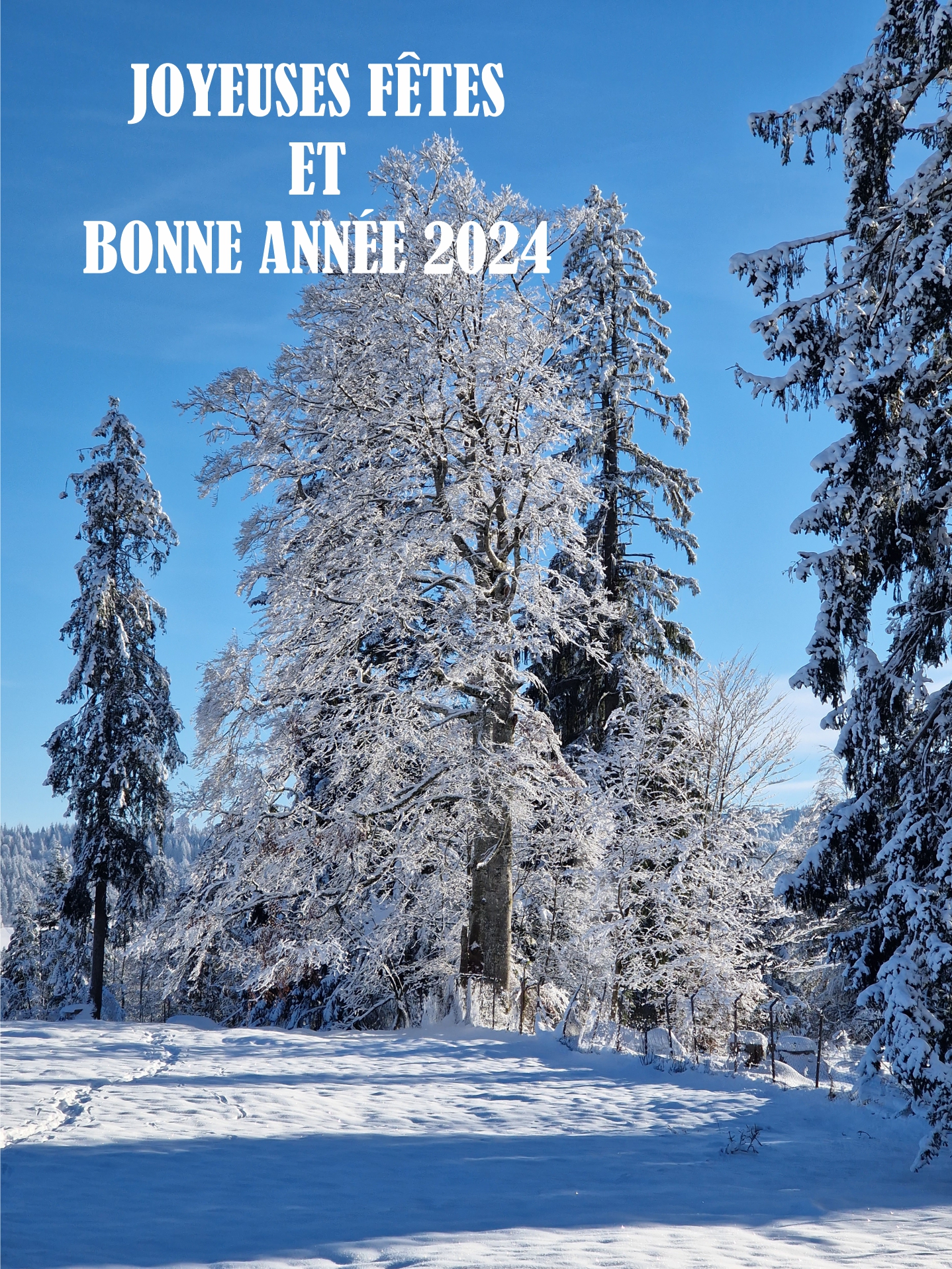 Joyeuses Fêtes et Bonne Année 2024 !