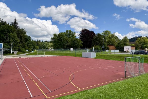 Terrain multisport halle polyvalente_IMG_E0633